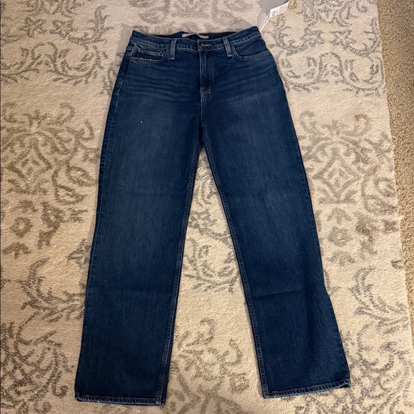 Hudson Jeans Other - Mens Hudson Jeans “Remi” Straight Leg NWT